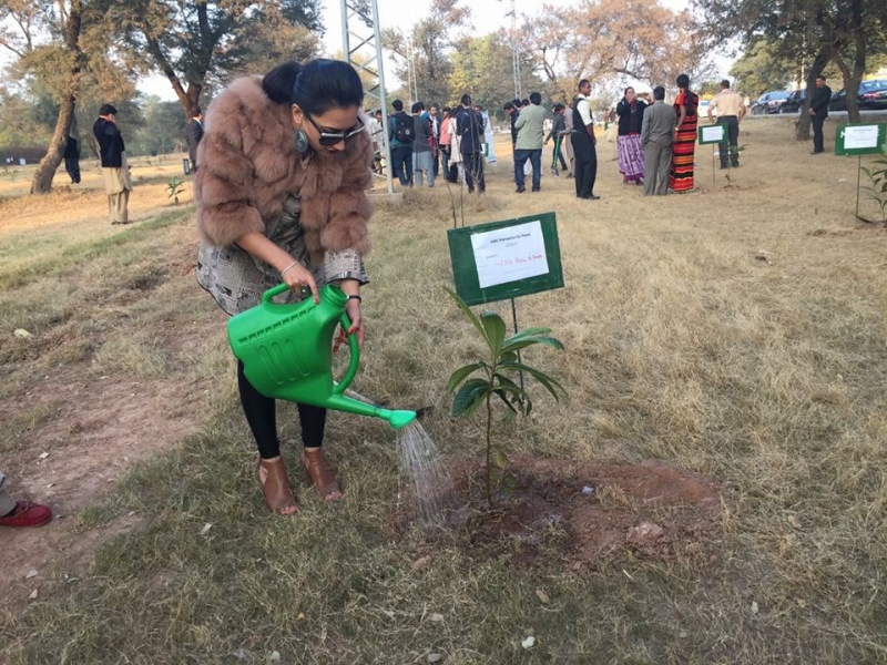 Sania-Ansari-planting-a-tree